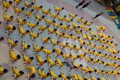 公明二幼 “户外活动的组织与实施”交流活动