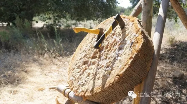 恒峰g22·(中国游)最新官方网站
