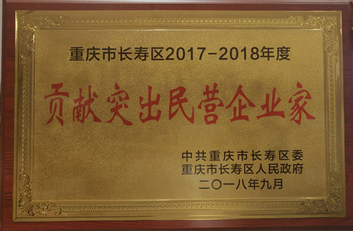 宋远标董事长荣获长寿区“贡献突出民营企业家”称号