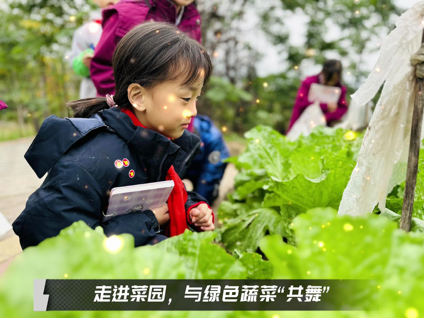 美好学校|留校时光，，，，，走出教室，，，，，与绿色蔬菜共舞