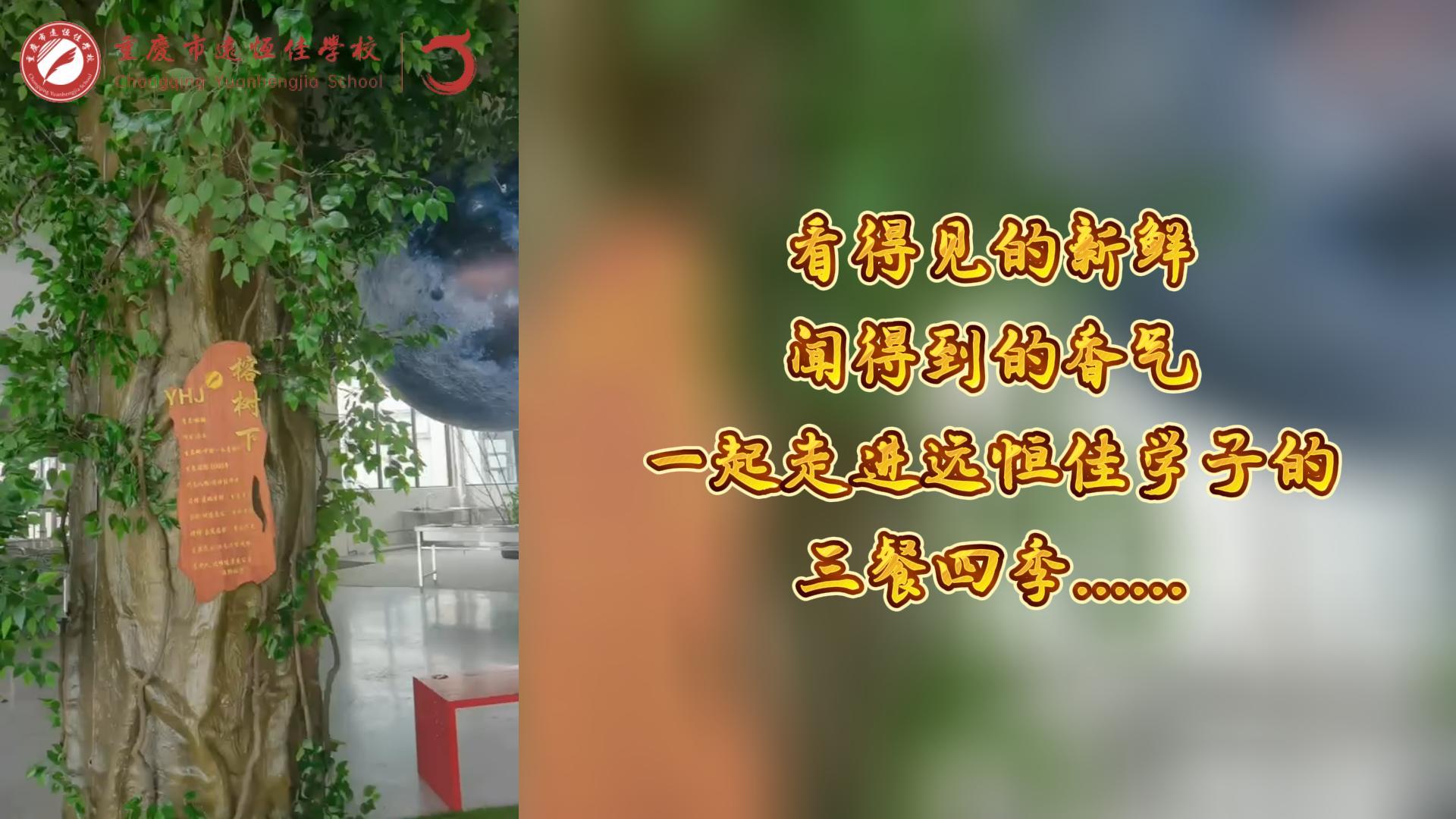 美好学校|看得见的新鲜，，，，，，闻得到的香味，，，，，，一起走进恒峰g22学子的三餐四季!